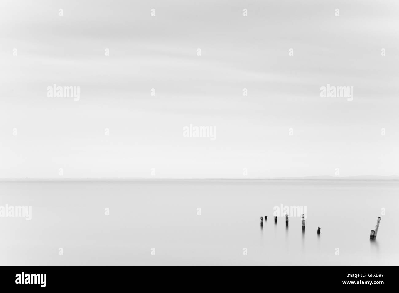 Retour minimaliste et blanc photo de vieux poteaux de clôture dans l'eau Banque D'Images