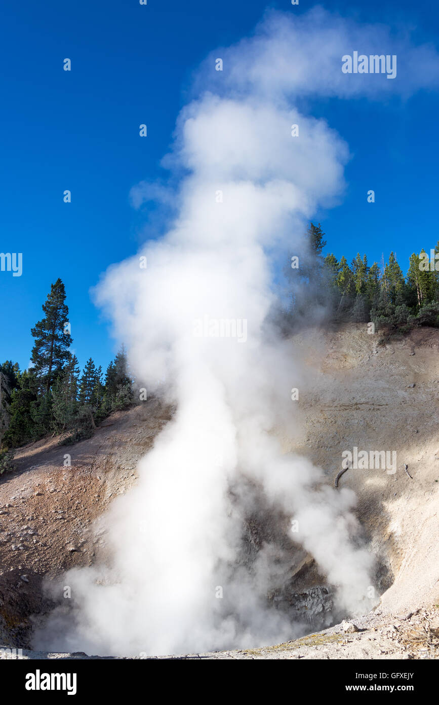 Vue verticale du volcan de boue dans la région du volcan de boue dans le Parc National de Yellowstone Banque D'Images