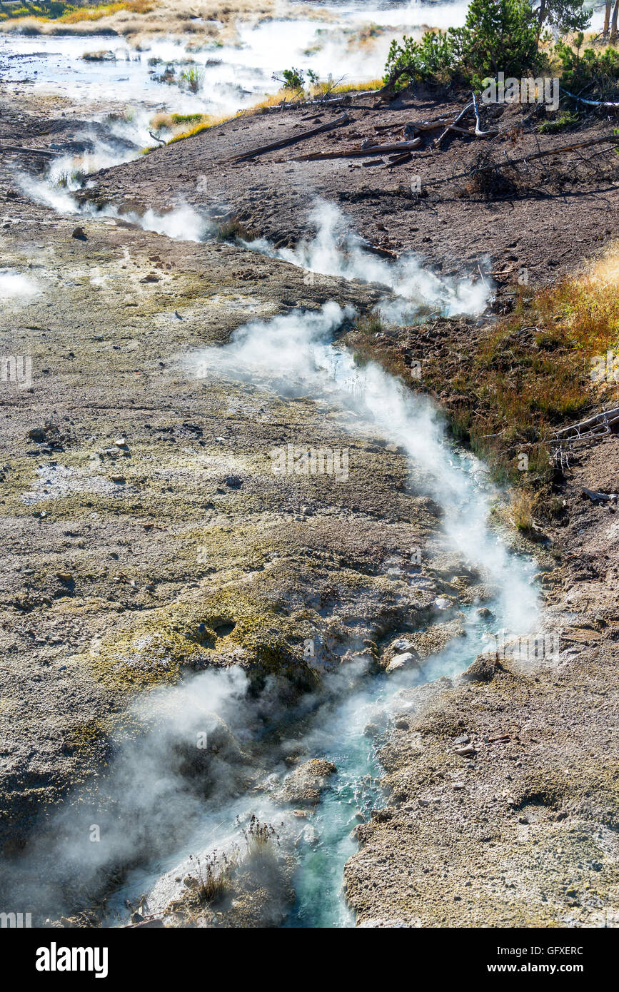 La vapeur s'élevant de la terre dans la région du volcan de boue dans le Parc National de Yellowstone Banque D'Images
