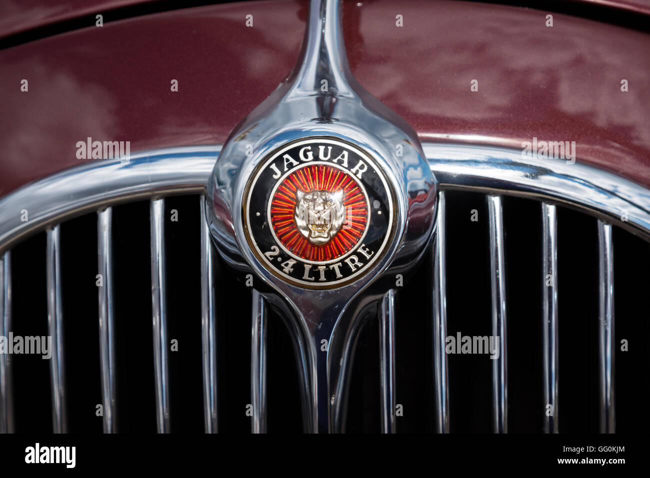 Insigne de Jaguar Photo Stock - Alamy