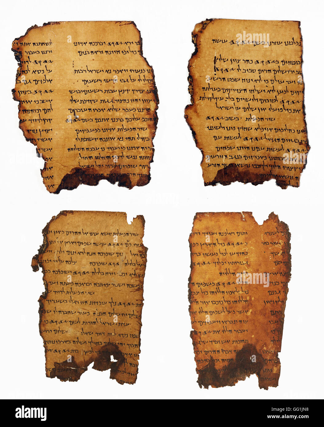 5879. La mer Morte, Qumran, cave 11. Fragments (cuir) du Livre des Psaumes Banque D'Images
