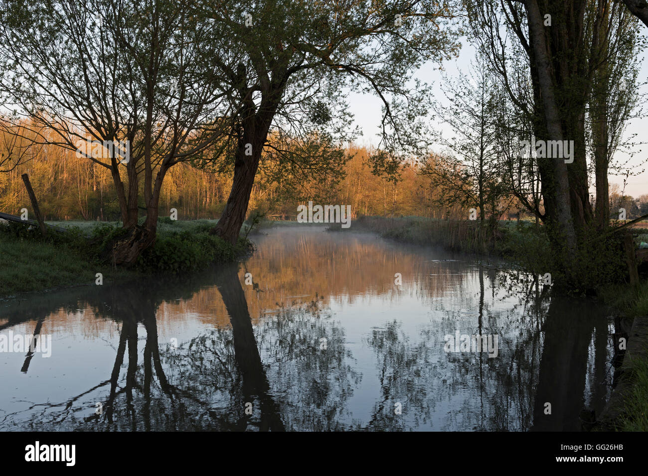 Brume du matin sur le Canal de Bourgogne, Saint-Jean-de-Losne, France Banque D'Images