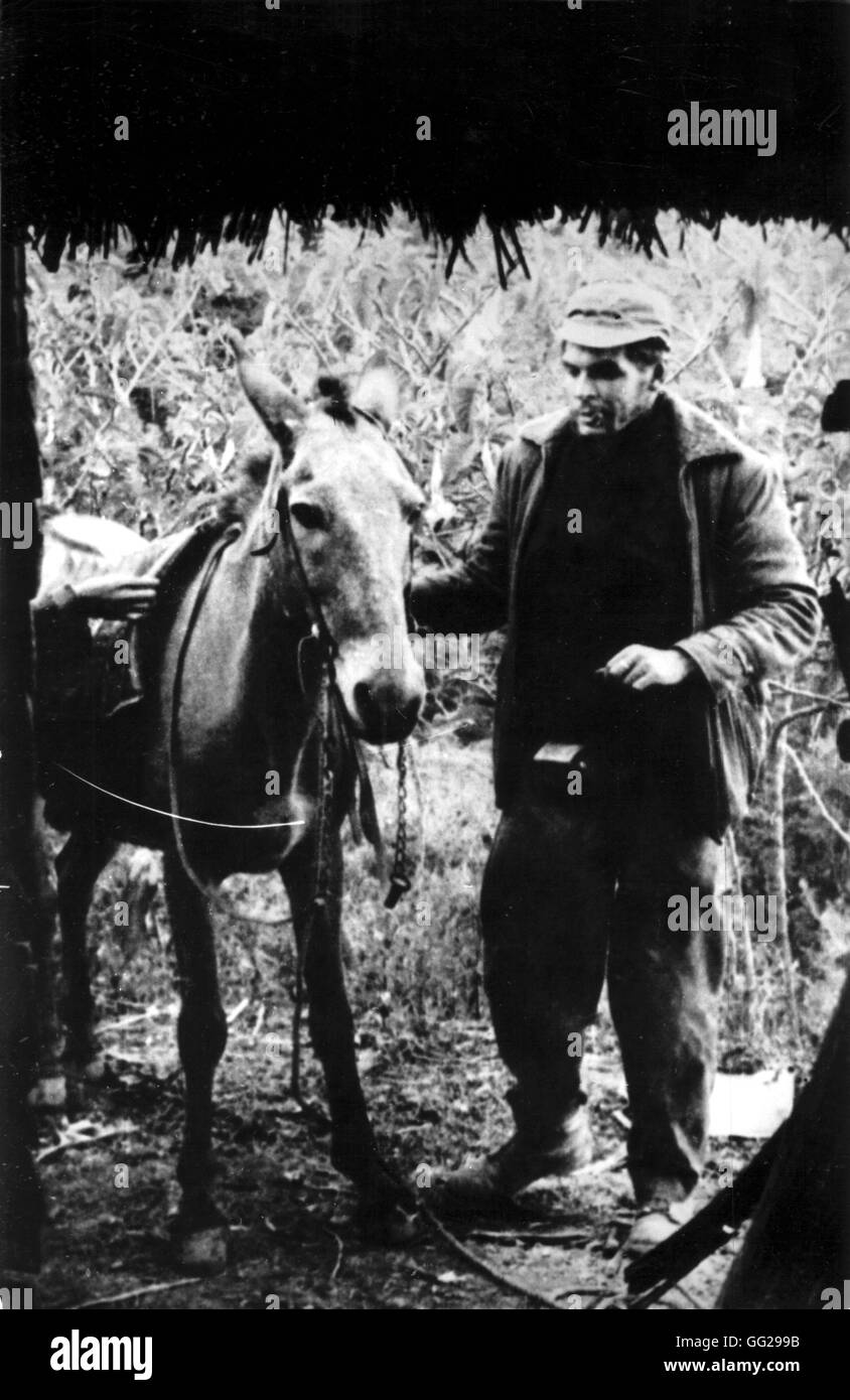 Che Guevara (1928-1967) dans la Sierra 20e siècle la Bolivie Banque D'Images