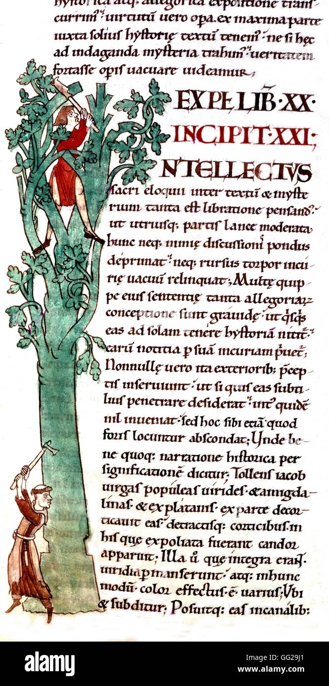 Cîteaux, 'Moralia dans Job" par Grégoire le Grand. Landclearer monk 12ème siècle France Dijon library Banque D'Images