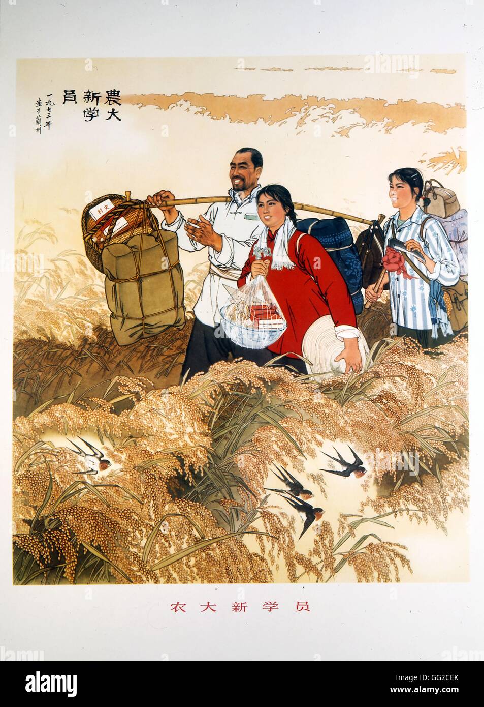Style traditionnel chinois, laissant pour l'Institut d'Agronomie 20e siècle Chine Banque D'Images