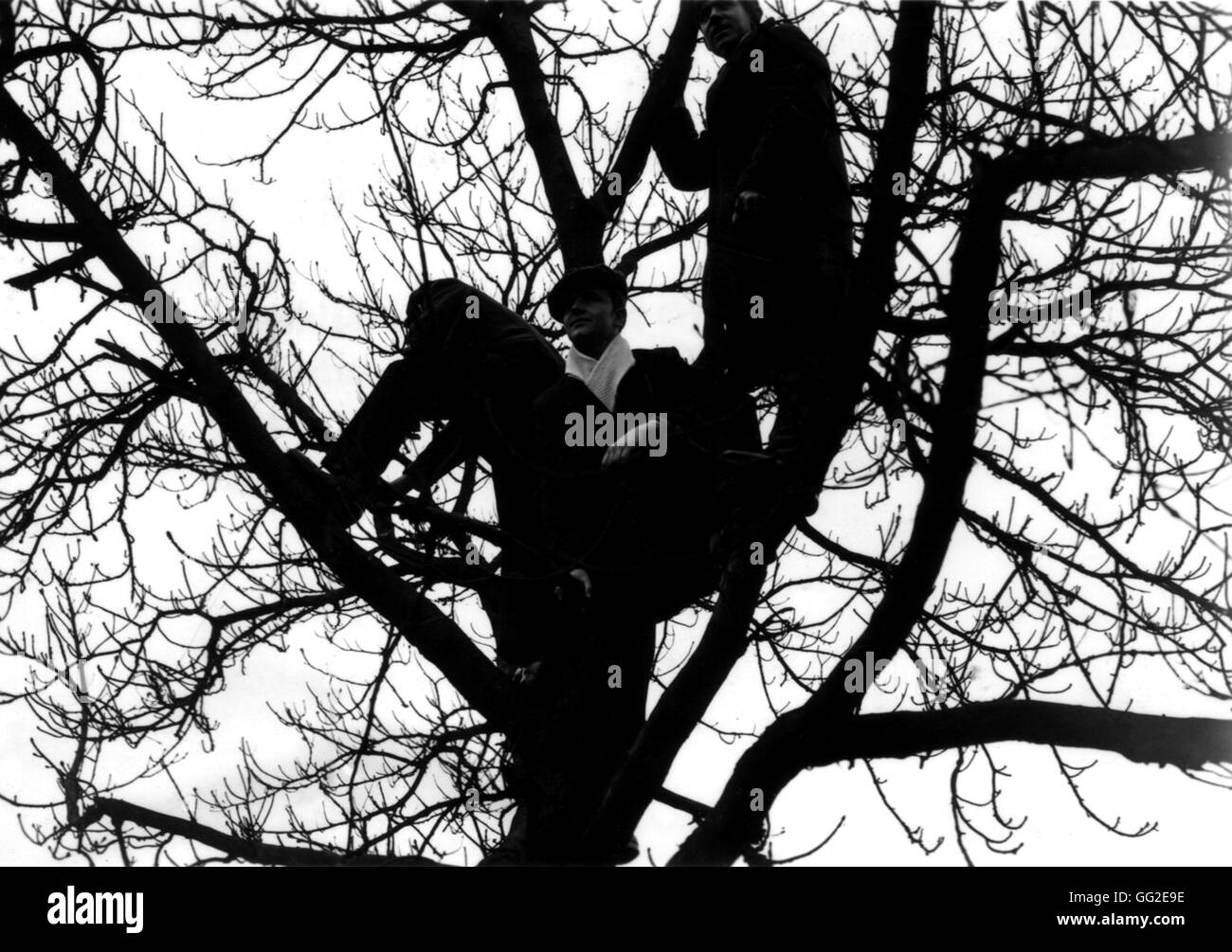 Des émeutes à Paris, les manifestants dans un arbre Février 1934 Banque D'Images