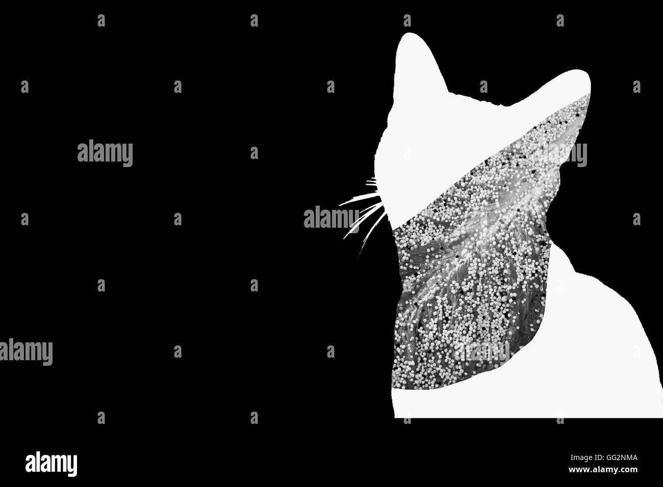 Ombre de chat blanc avec illustration dans la moissonneuse-batteuse de la laitue avec des bonbons photo noir et blanc Banque D'Images