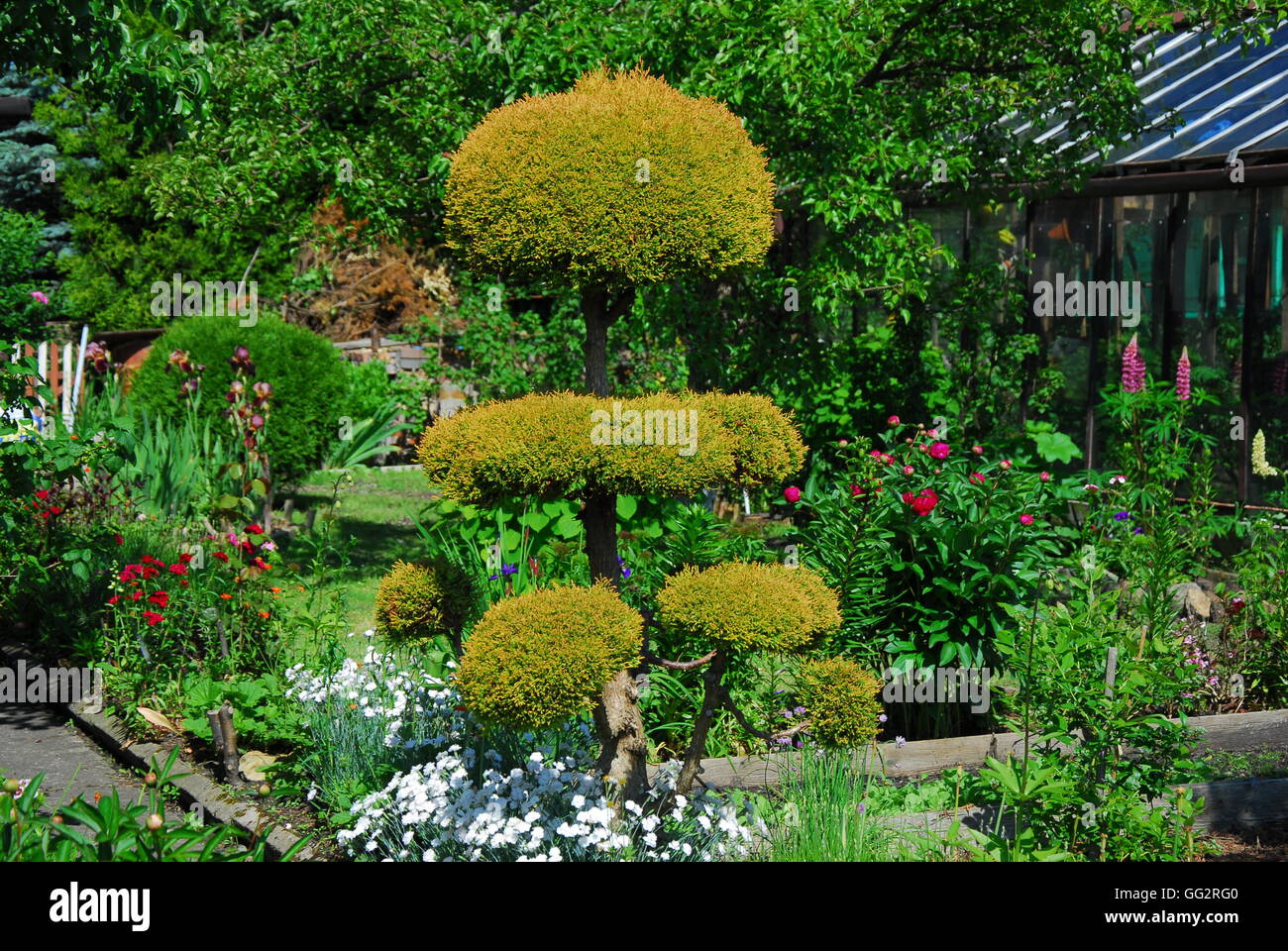 Rock Garden, l'architecture de jardin, garden design Banque D'Images