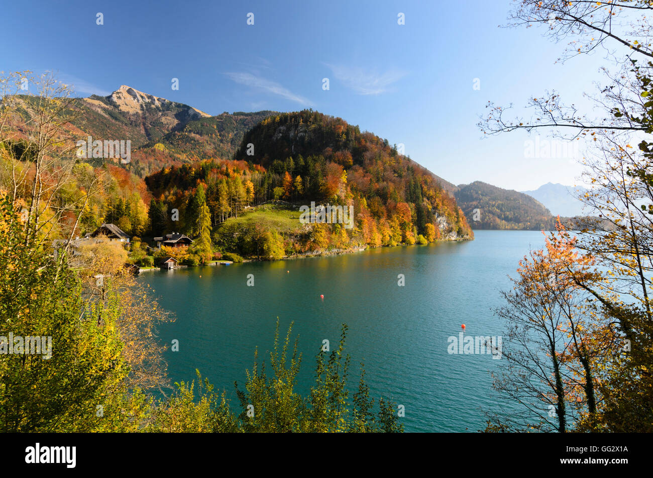 Sankt Gilgen : Brunnwinkl Bay et le mont Schafberg au lac Wolfgangsee, Autriche, Salzbourg, Salzbourg Banque D'Images