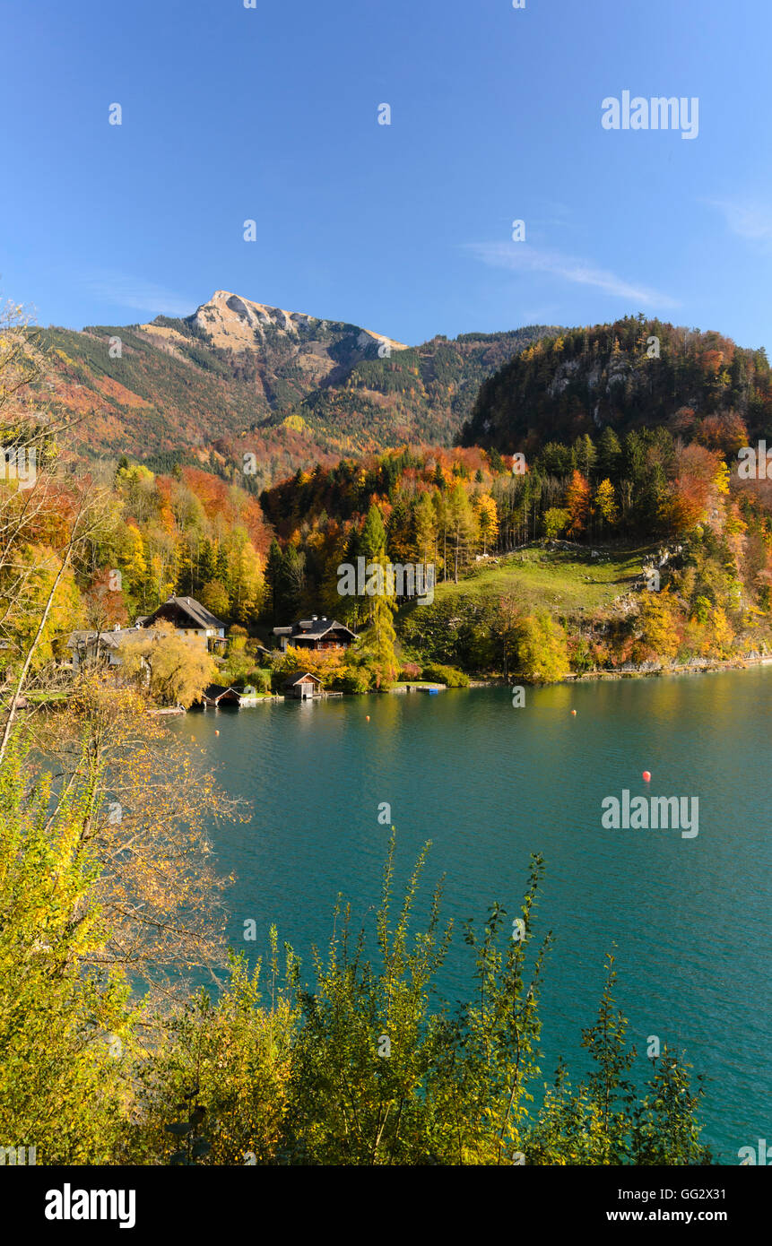 Sankt Gilgen : Brunnwinkl Bay et le mont Schafberg au lac Wolfgangsee, Autriche, Salzbourg, Salzbourg Banque D'Images