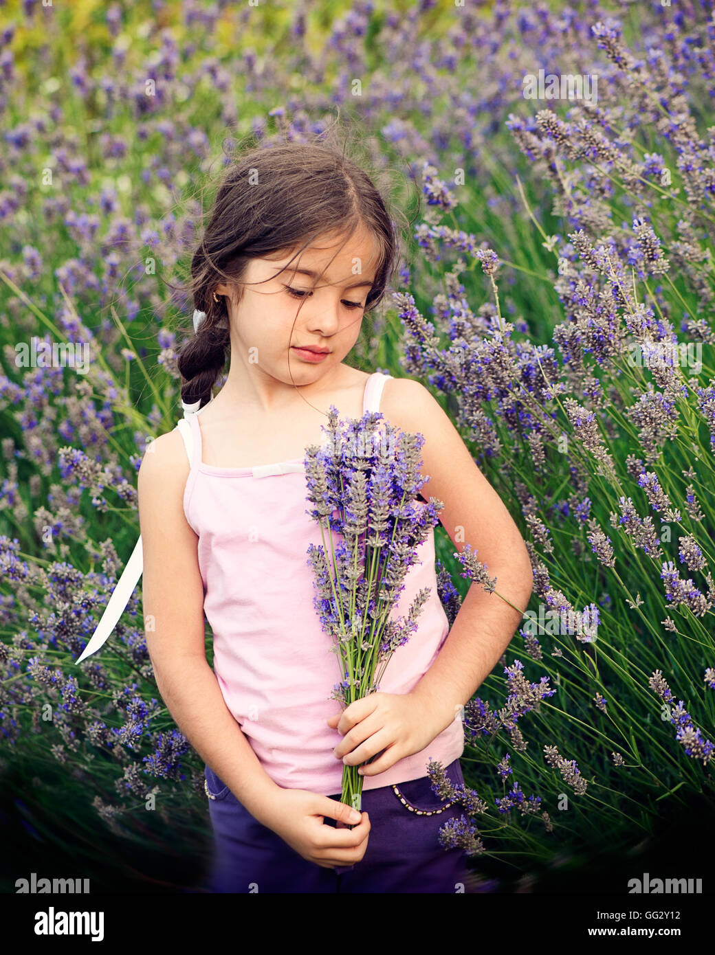 Little girl holding en lavande champ de lavande Banque D'Images