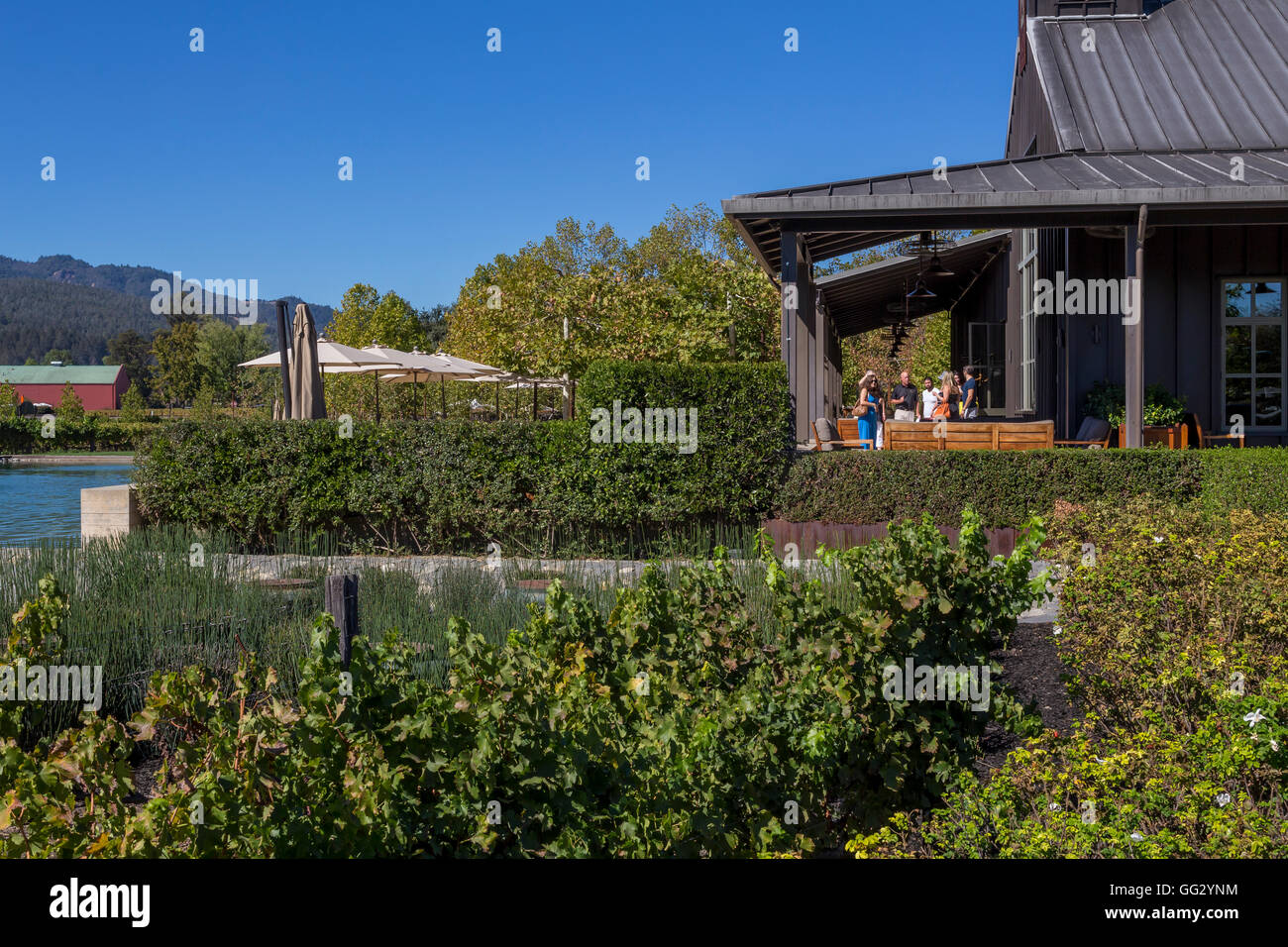 Les gens, les touristes, dégustation de vin, une dégustation de vin, dégustation à l'extérieur patio, Alpha Omega Winery, Napa Valley, Californie Banque D'Images