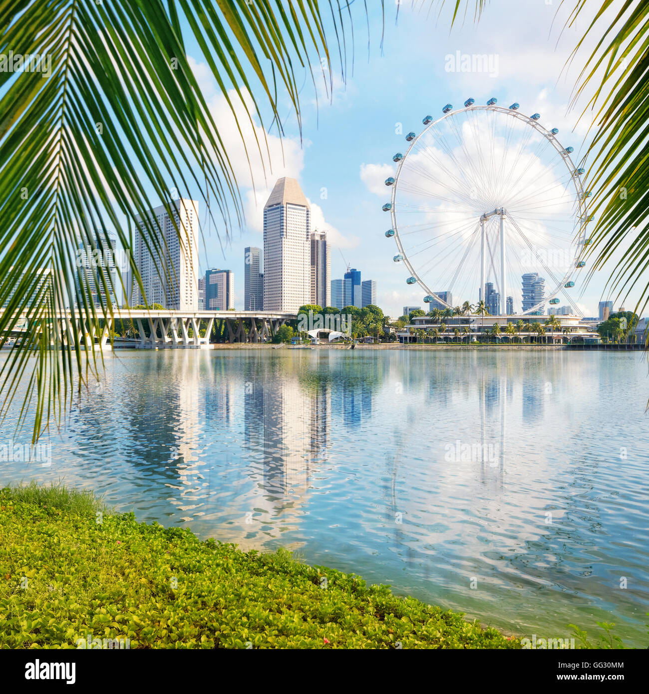 Jardins de la baie de Singapour à côté sur le premier plan palmier Banque D'Images