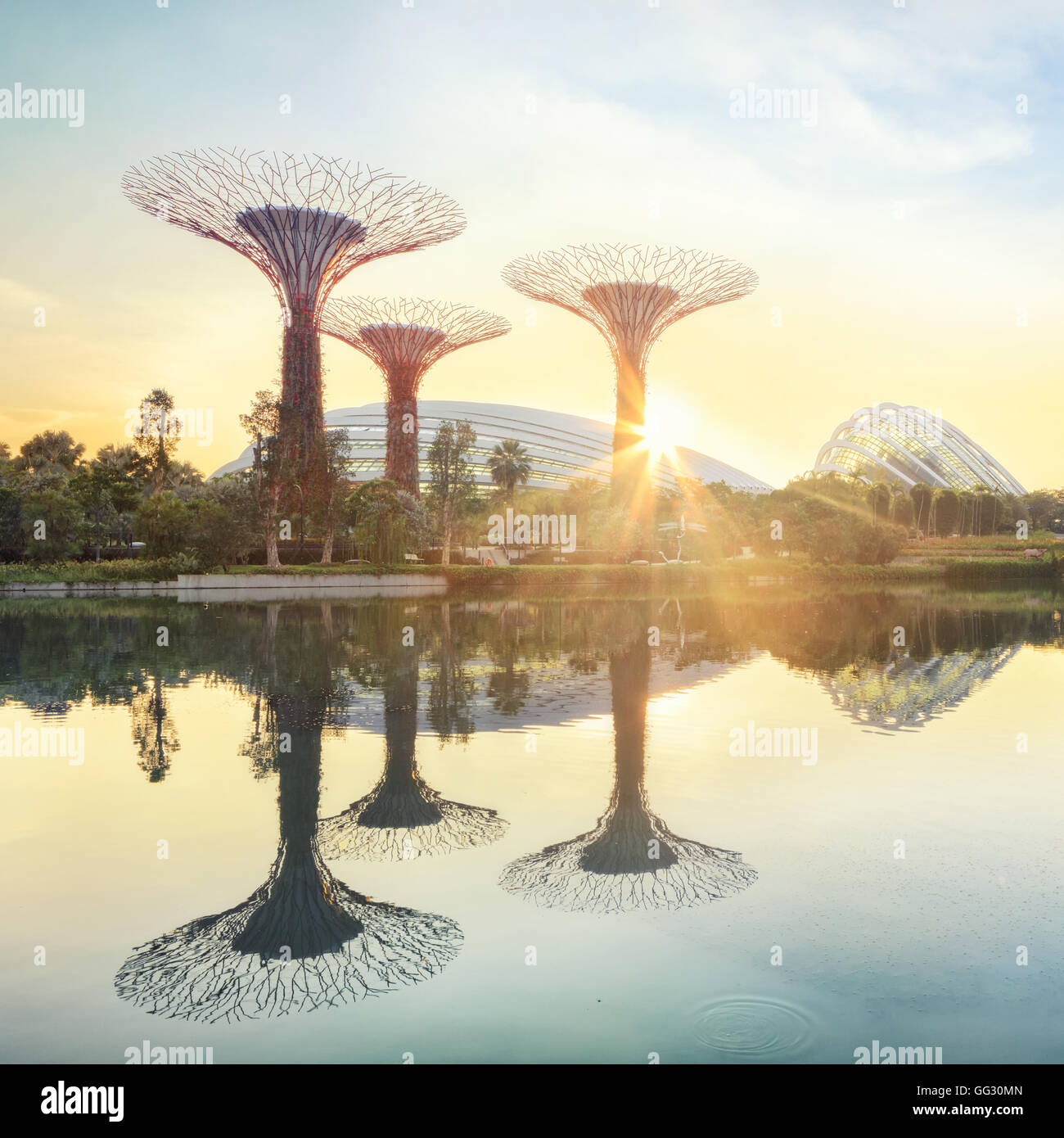 Supertree grove et serre jardin Nuage au lever du soleil Banque D'Images