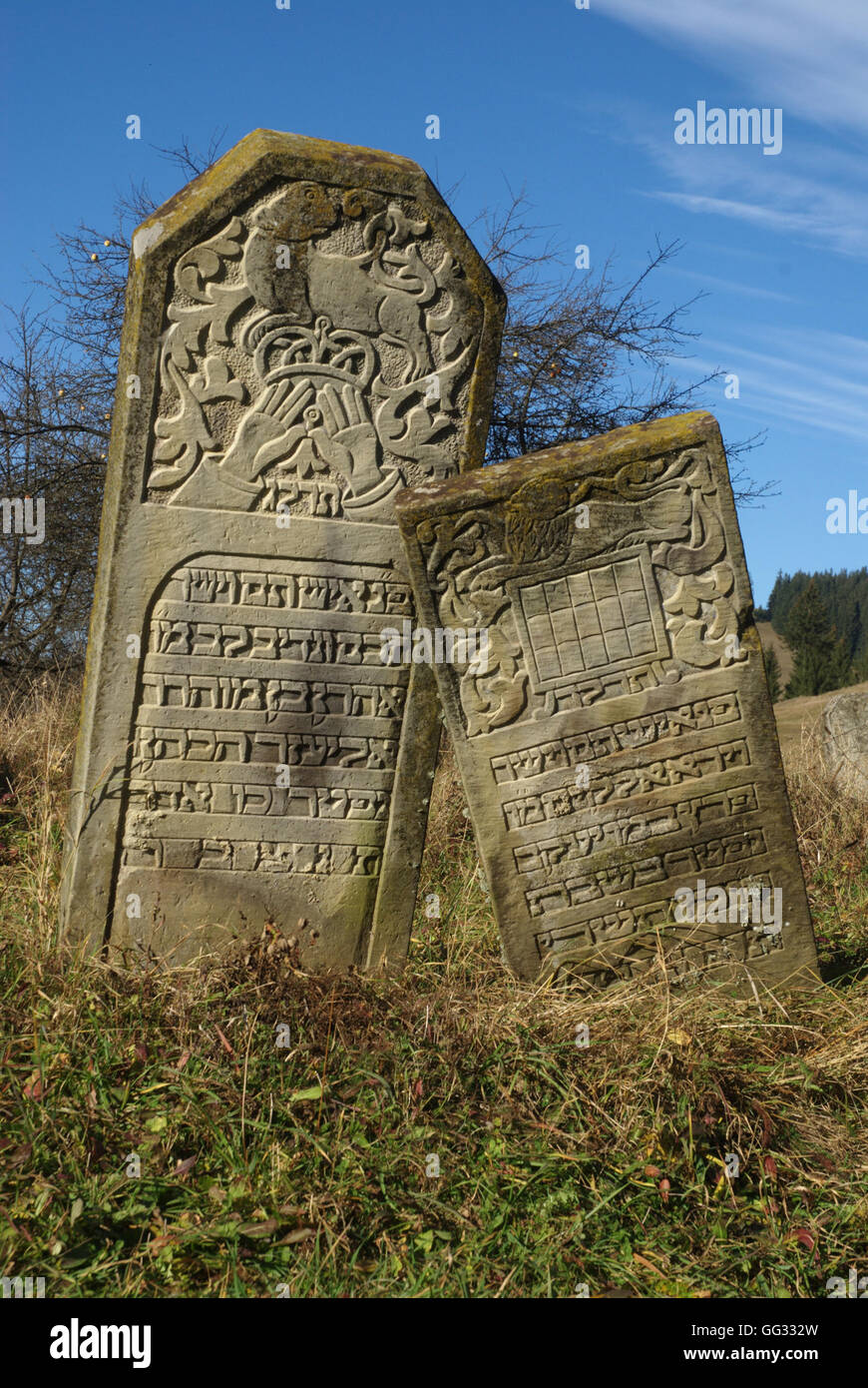 5517. Décoré de l'ancien cimetière de tombstone, 18 et 19 de rencontres C. Gura Humorulu, Roumanie Banque D'Images