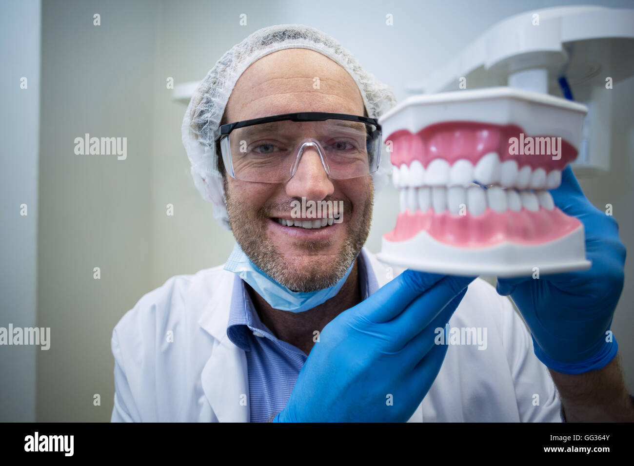 Dentiste titulaire d'un modèle de la bouche Banque D'Images