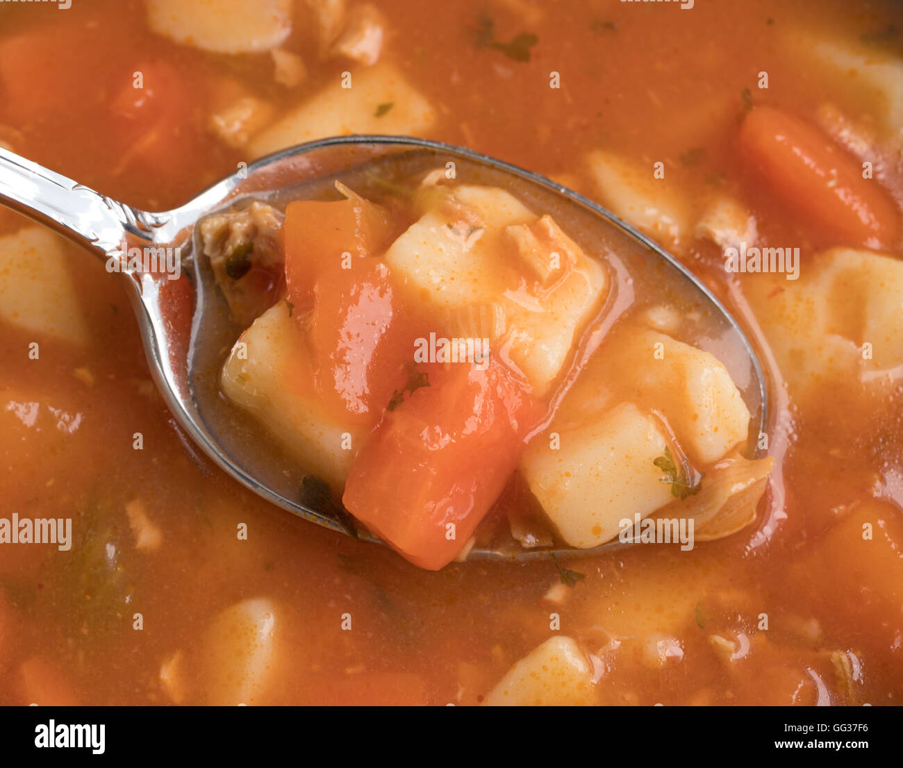 Une cuillère de style manhattan clam chowder au sommet du ragoût. Banque D'Images