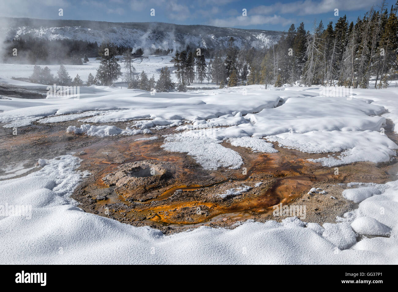 Geyser de Lion Banque D'Images