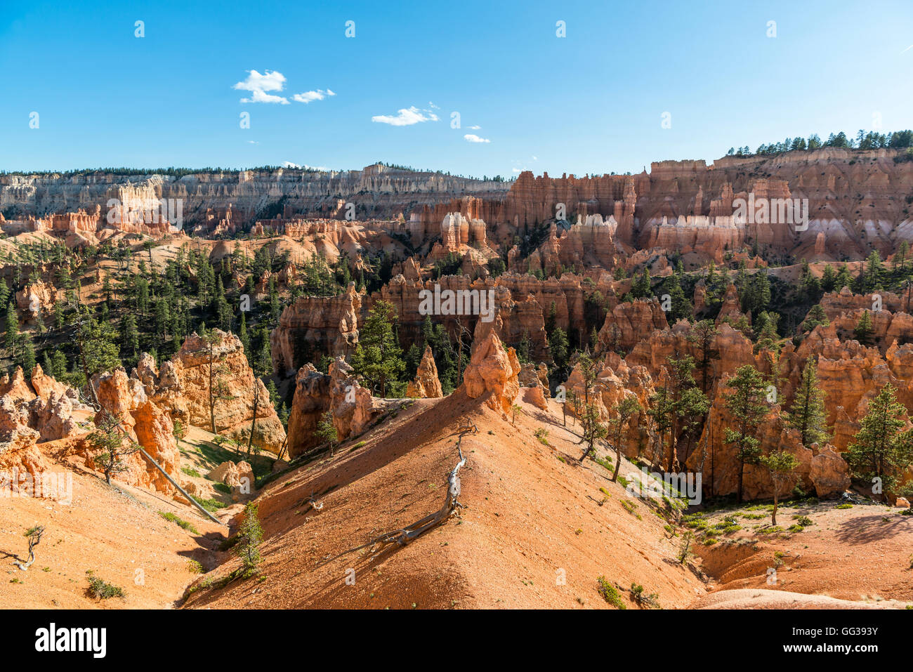 Cheminées, Bryce Canyon National Park, Utah, USA Banque D'Images