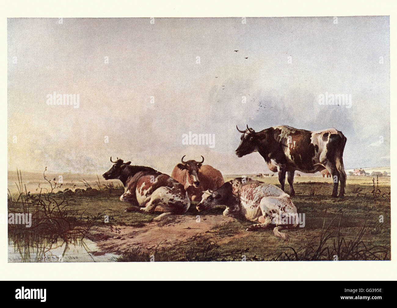 Les bovins, après l'aquarelle de Thomas Sidney Cooper Banque D'Images
