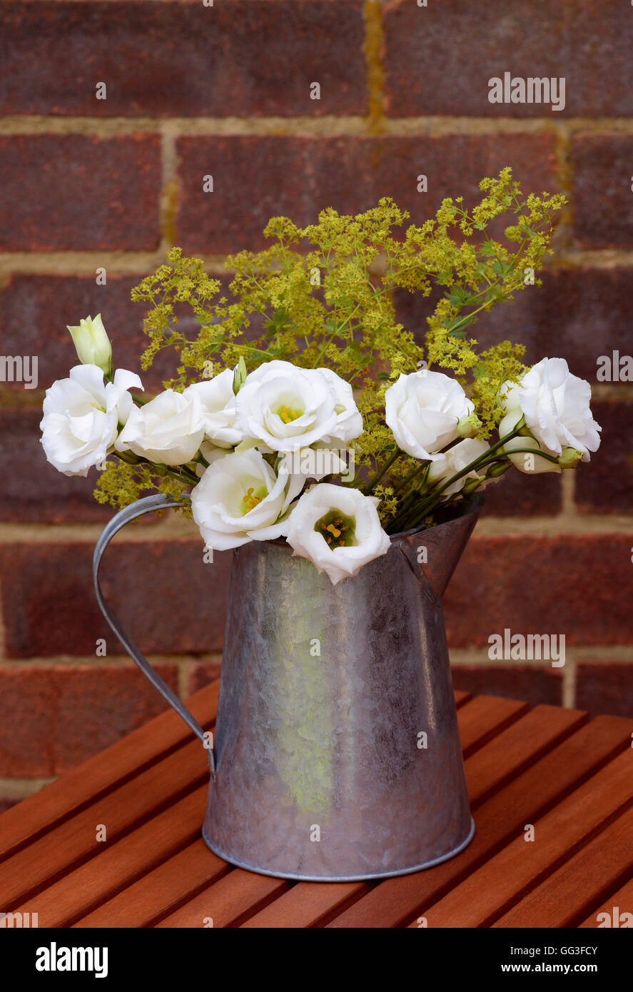 Arrangement de fleurs de prairie blanc gentianes et Alchemilla mollis délicate dans un pot en métal vintage Banque D'Images