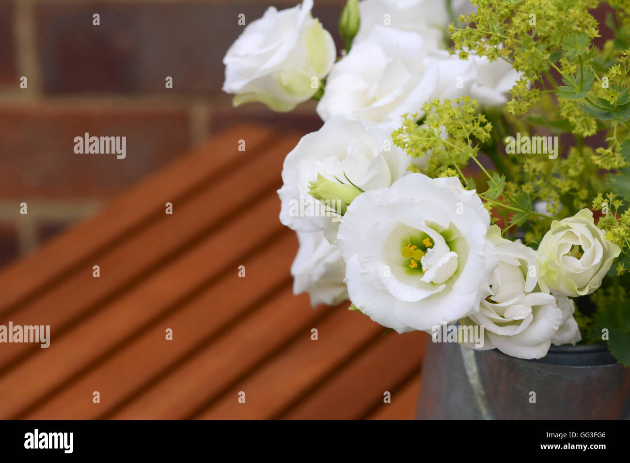 Close-up of tulip blanc fleurs de gentiane avec ladys manteau sur une table en lattes de bois Banque D'Images