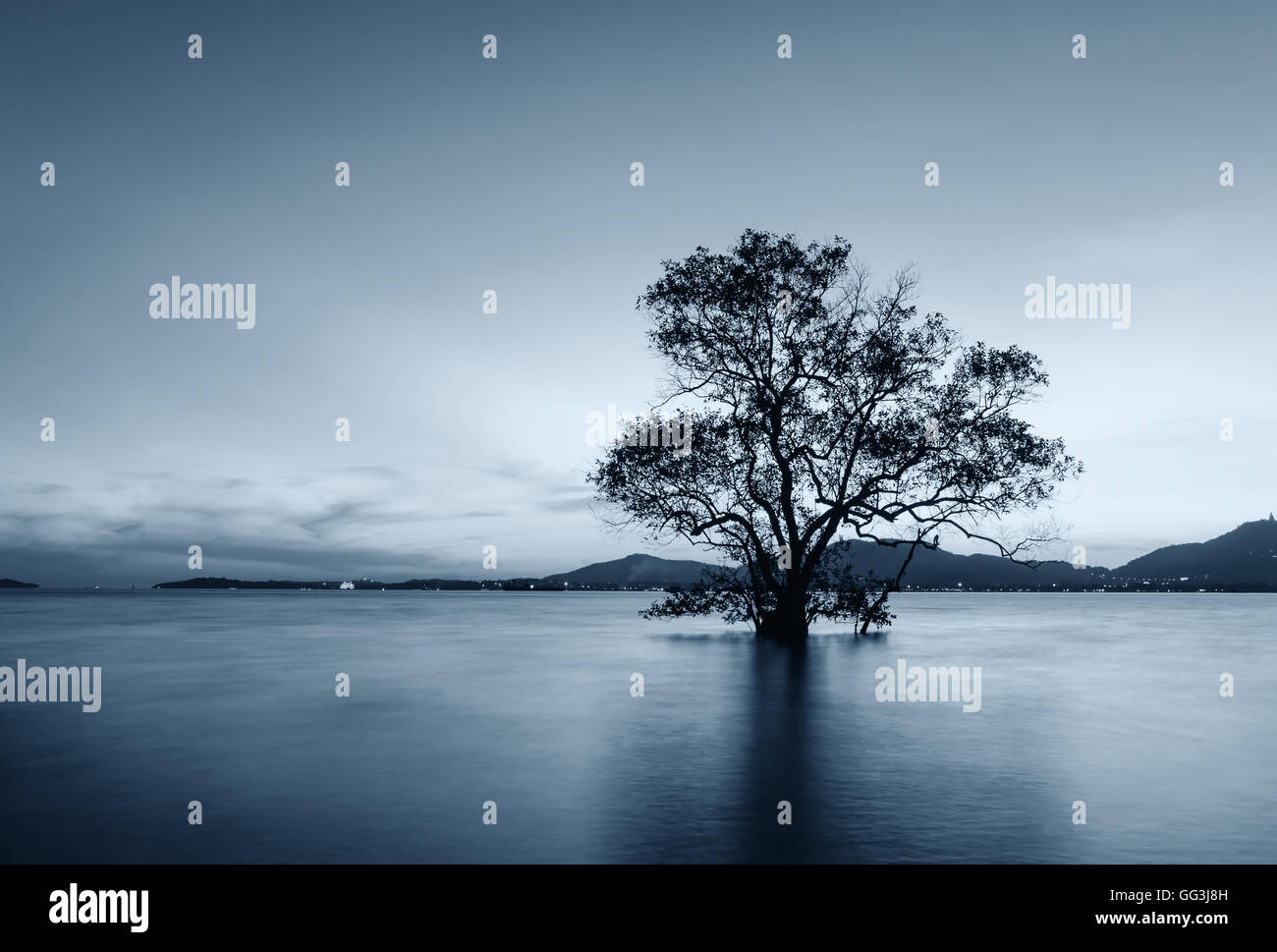 Coucher du soleil sur la mer avec silhouette d'arbre et ciel nuages au crépuscule et tons sombres, longue exposition technique avec arrière-plan Banque D'Images