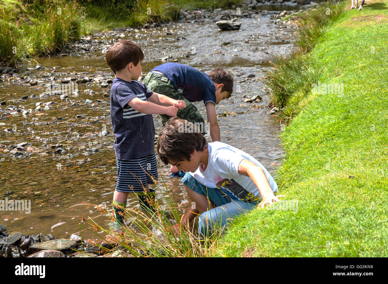 Trois jeunes garçons jouer ensemble à la construction d'un fichu à travers un ruisseau. Banque D'Images