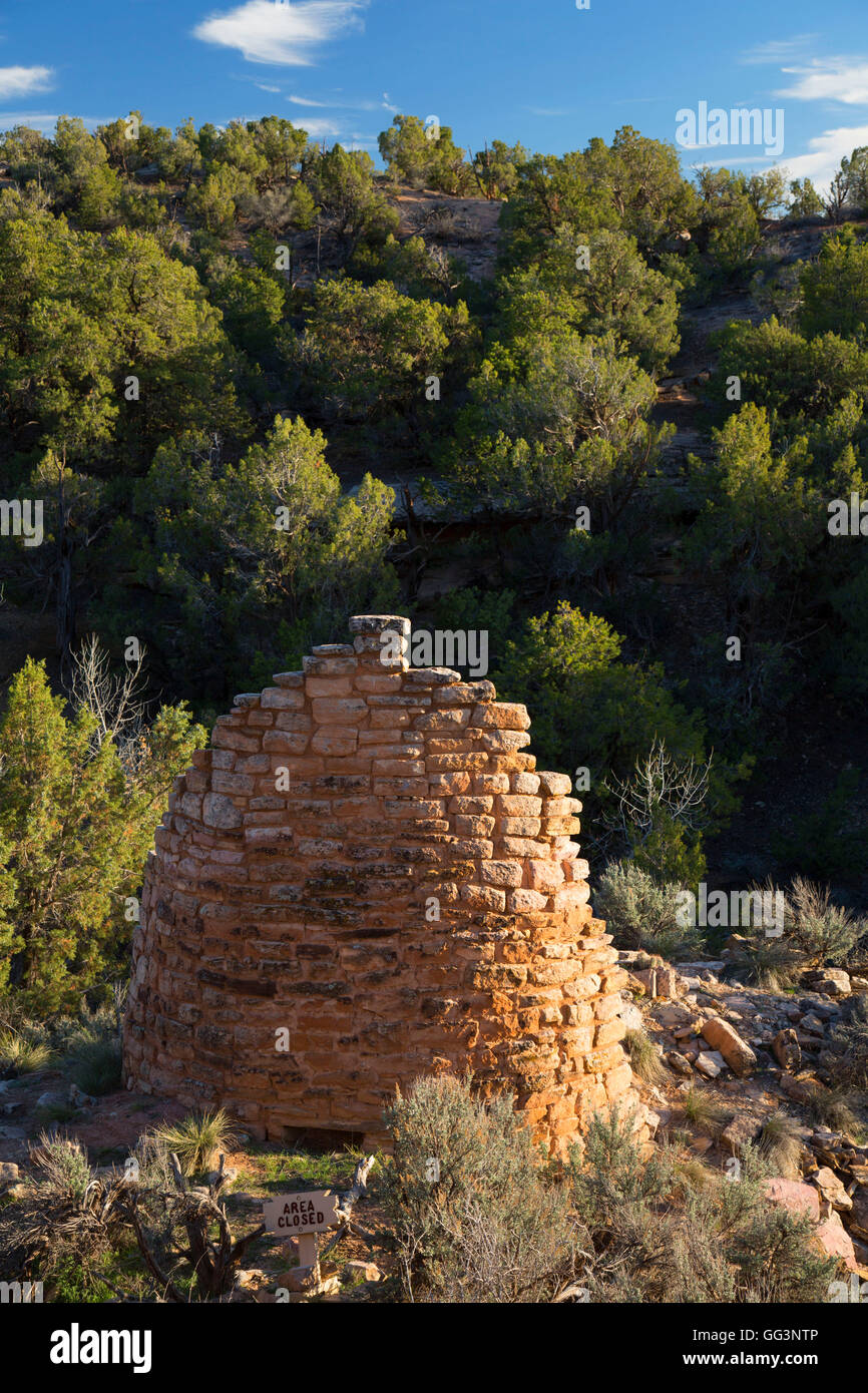 Ruines du château de fardée, Monument-Cutthroat Hovenweep National Castle Unité, Colorado Banque D'Images