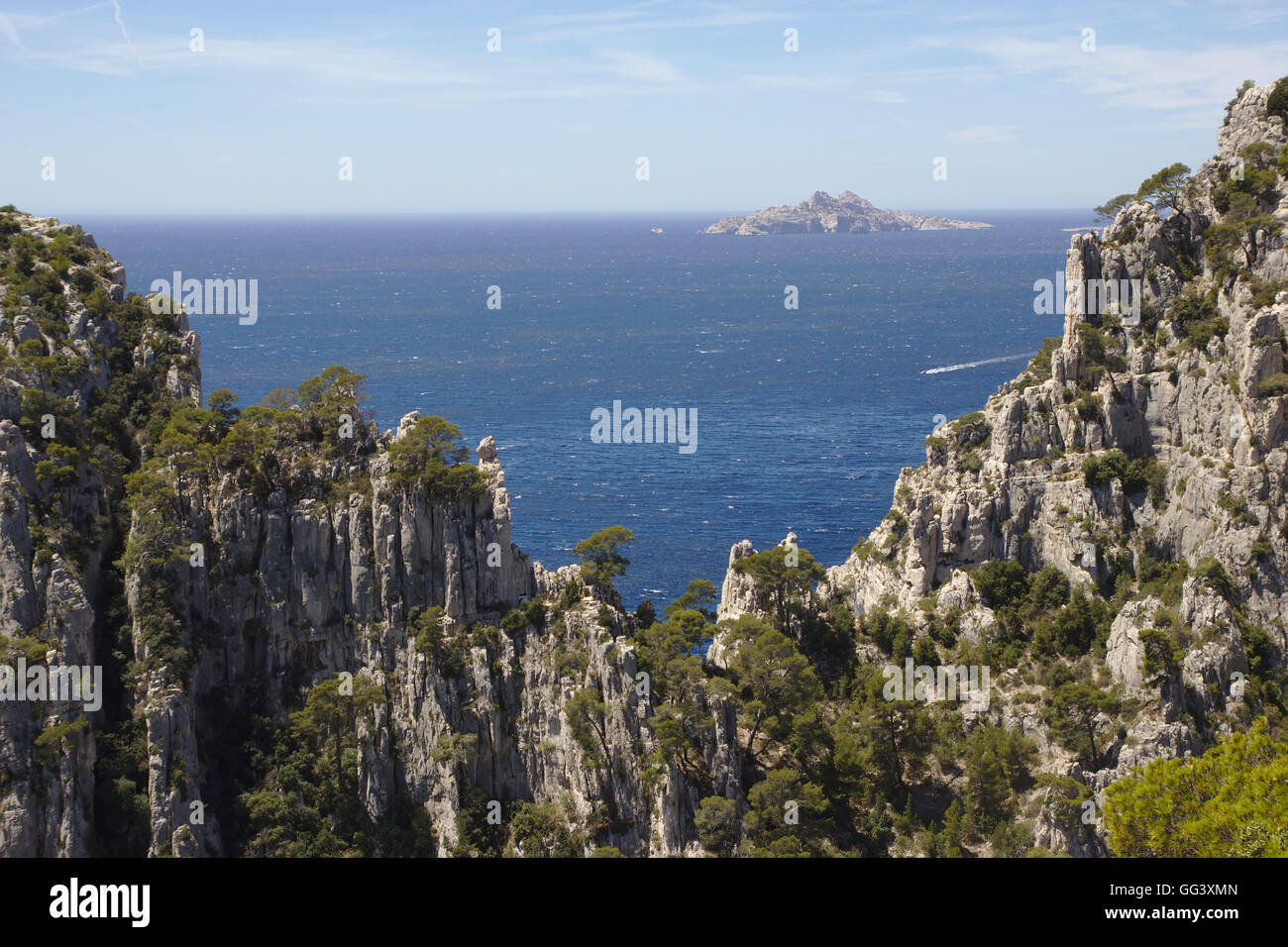 Des rochers et des arbres sur le plateau de Castel Vieil au-dessus de Calanque d'en Vau à proximité de Cassis, France Banque D'Images