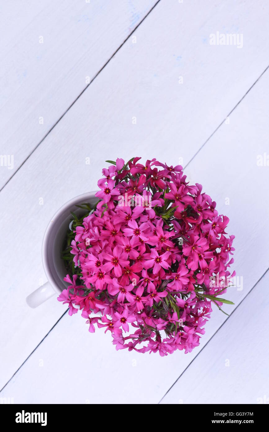 Bouquet de fleurs de printemps rose sur planche de bois Vue de dessus Banque D'Images