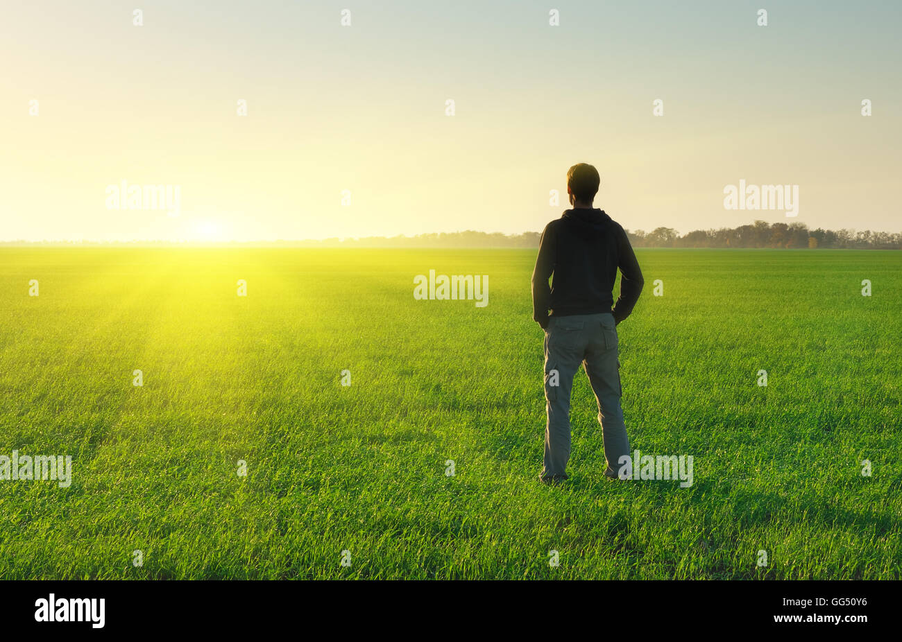 L'homme à Meadow Green Meadow. Scène conceptuelle. Banque D'Images