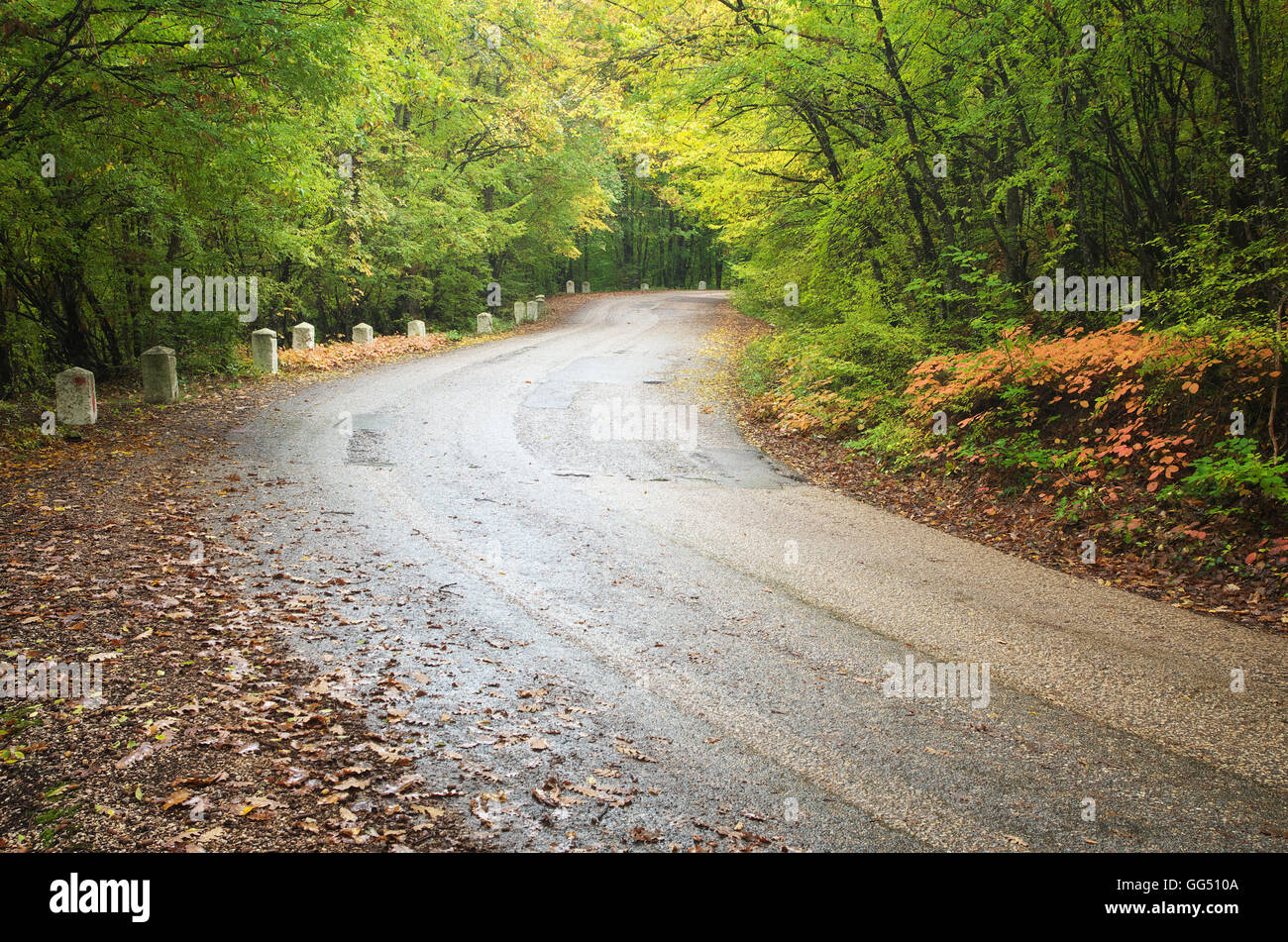 Route en bois de l'automne. Composition de la nature. Banque D'Images