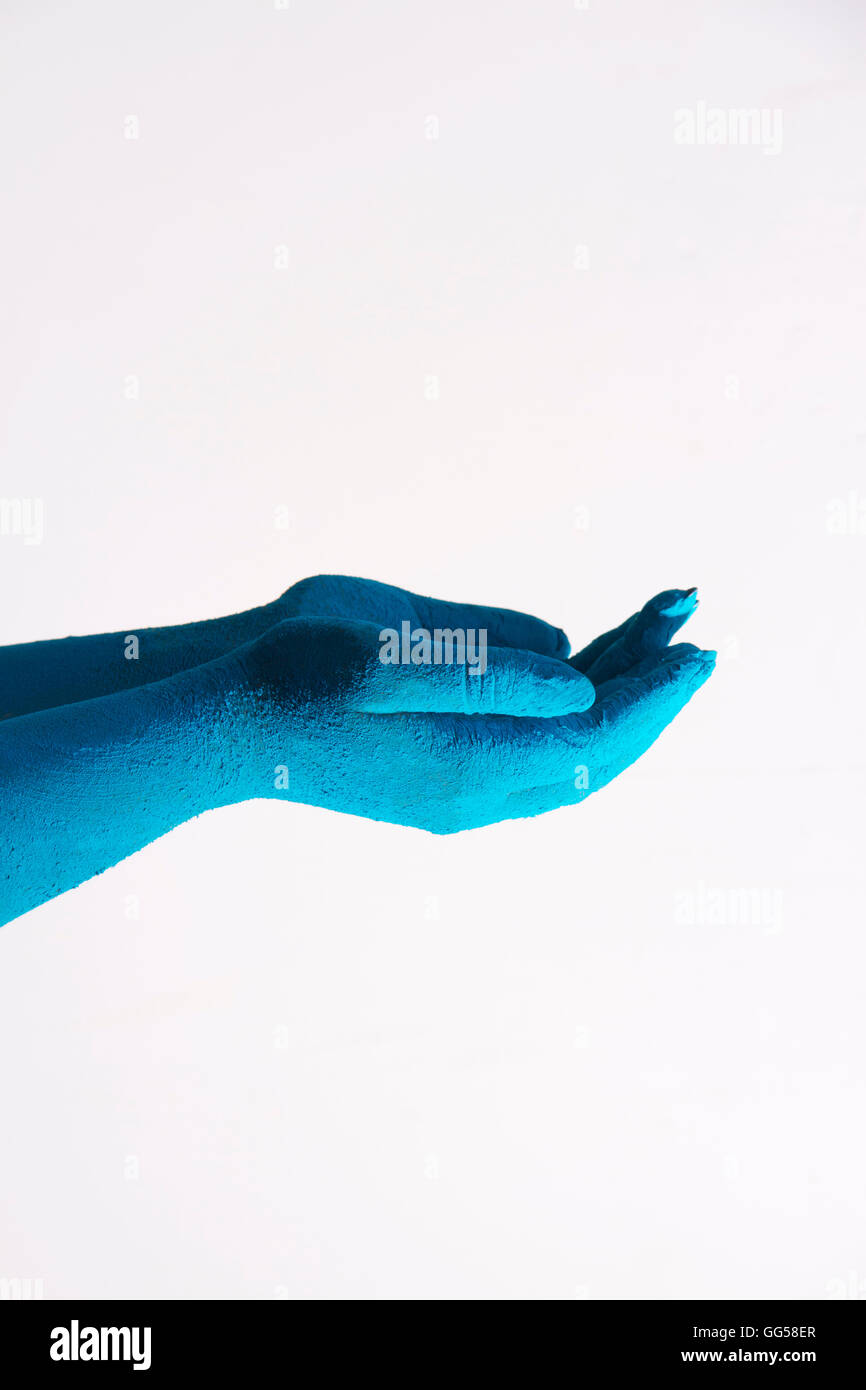 Close-up de couleur bleu creux des mains lors du festival Holi over white background Banque D'Images