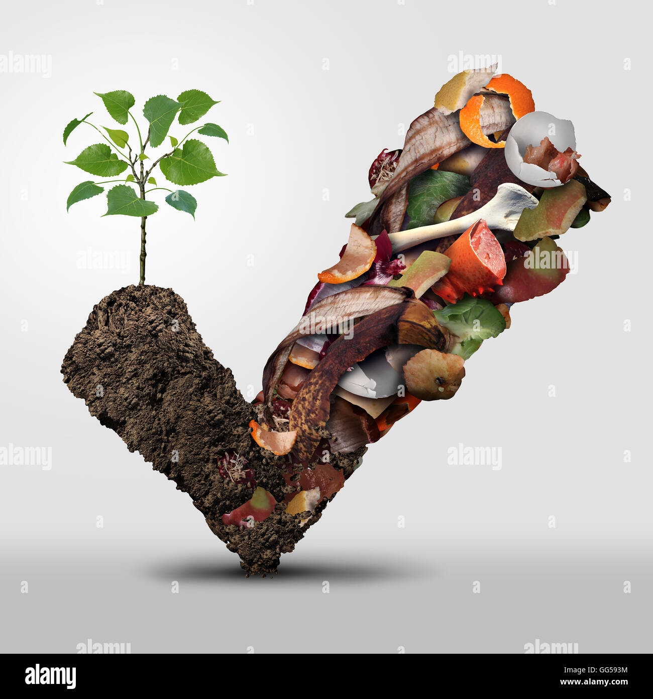 Symbole du compost et un symbole du cycle de vie le concept de système d'étape de compostage comme un tas de coquilles d'oeufs fruits pourrissant les os et les restes de légumes sous forme d'une marque sur le sol d'où un succès écologique avec un jeune arbre en croissance. Banque D'Images