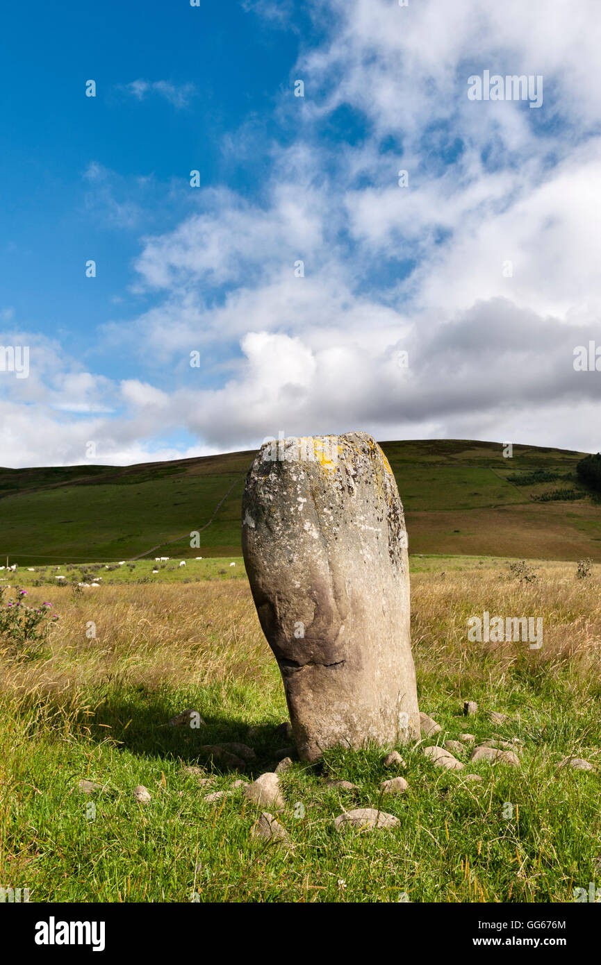 Près de millefeuille, Selkirk, sur l'Ecosse. Le Glebe Pierre, un âge de bronze ou de pierre néolithique (menhir) Banque D'Images