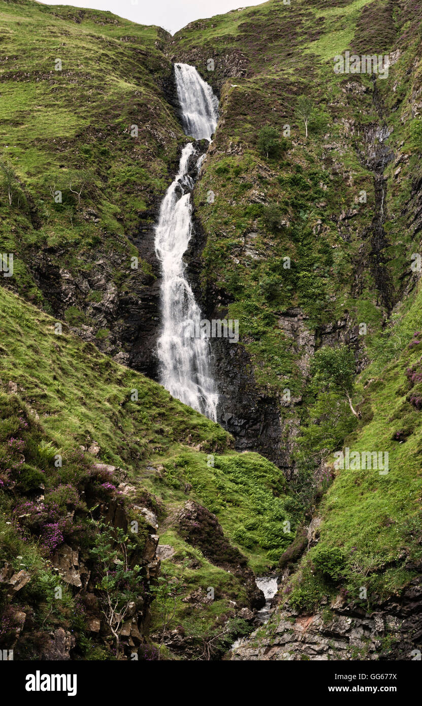 Près de Moffat, Sotland, UK, dans la région des Scottish Borders. La queue de la jument grise waterfall Banque D'Images