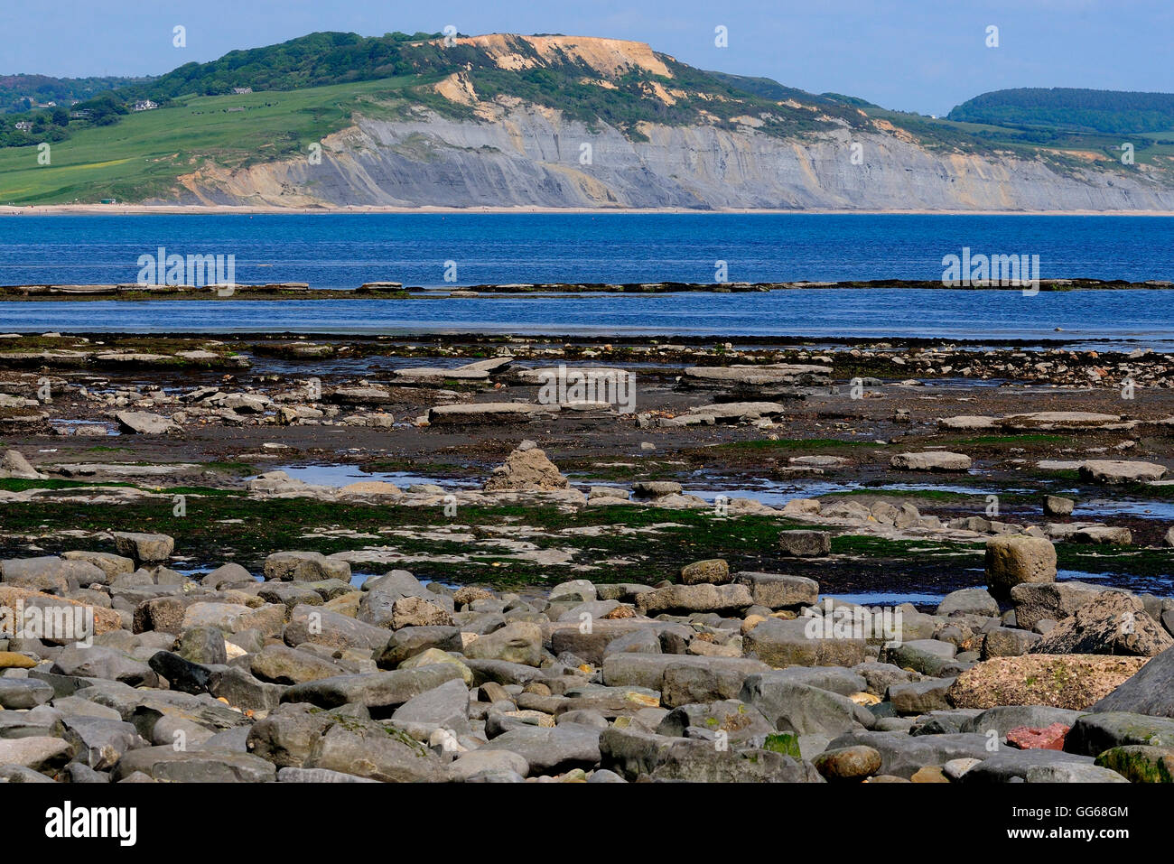 Large rebord, Lyme Regis, dans le Dorset Banque D'Images