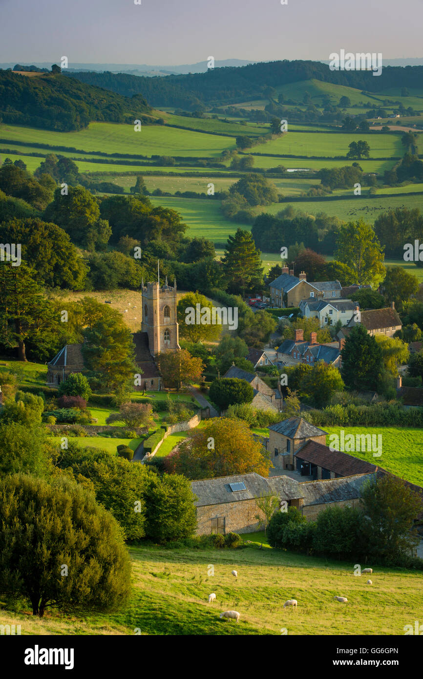 La lumière du soleil du soir sur Corton Denham, Somerset, Angleterre Banque D'Images