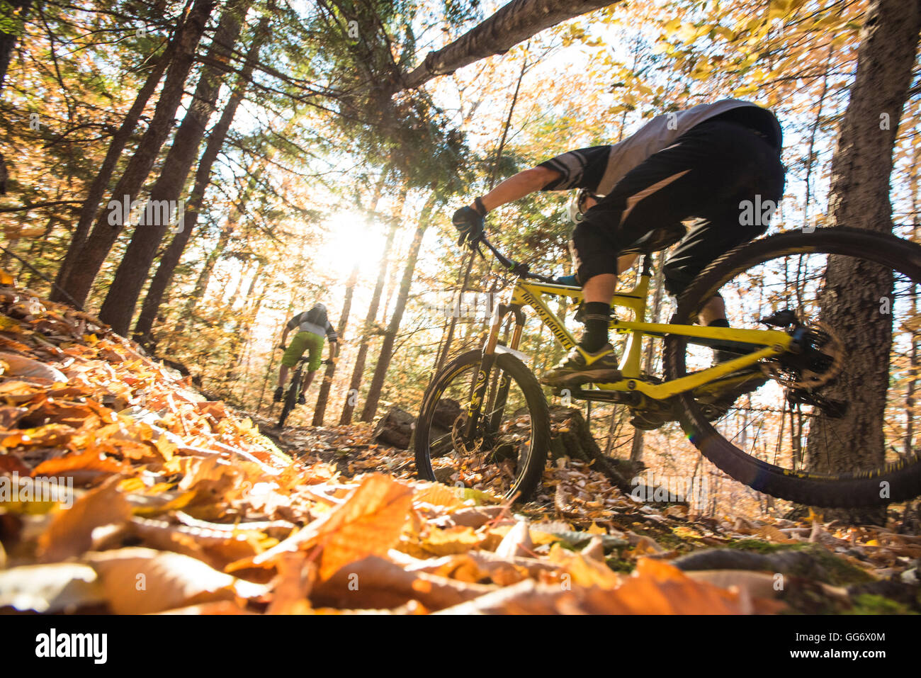L'automne vélo de montagne dans les Montagnes Blanches du New Hampshire. Banque D'Images