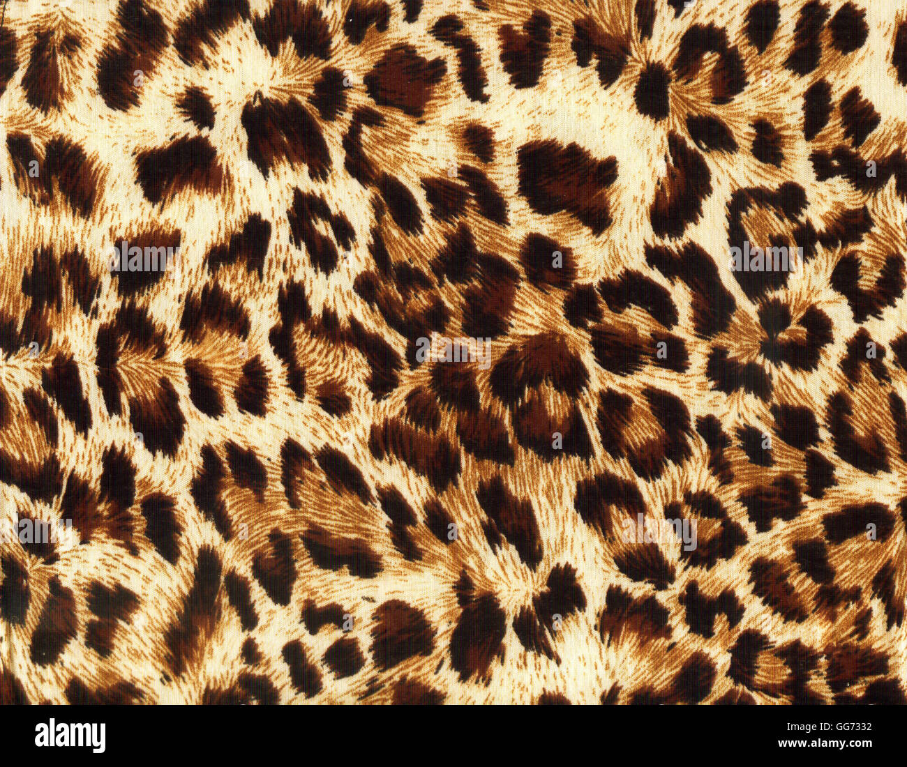 Leopard motif horizons Banque D'Images