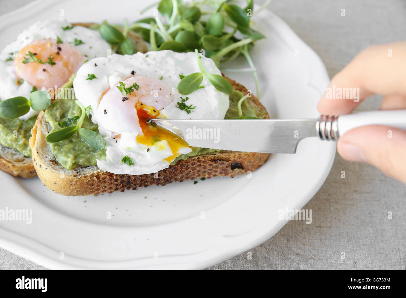 Œufs pochés à l'avocat et de germes de tournesol sur toasts au levain Banque D'Images