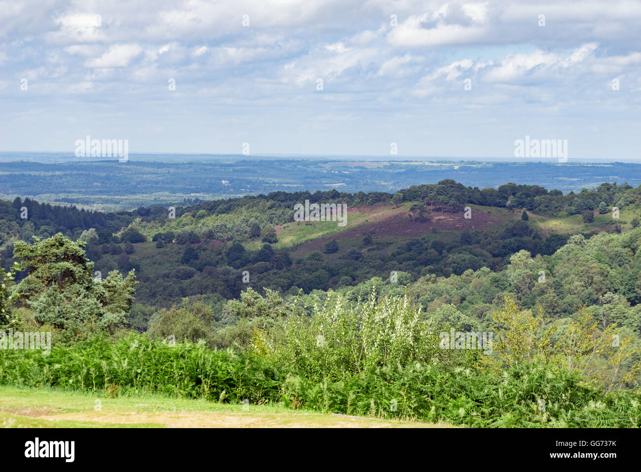 La beauté naturelle de la Devil's Punchbowl à Hindhead à Surrey Banque D'Images