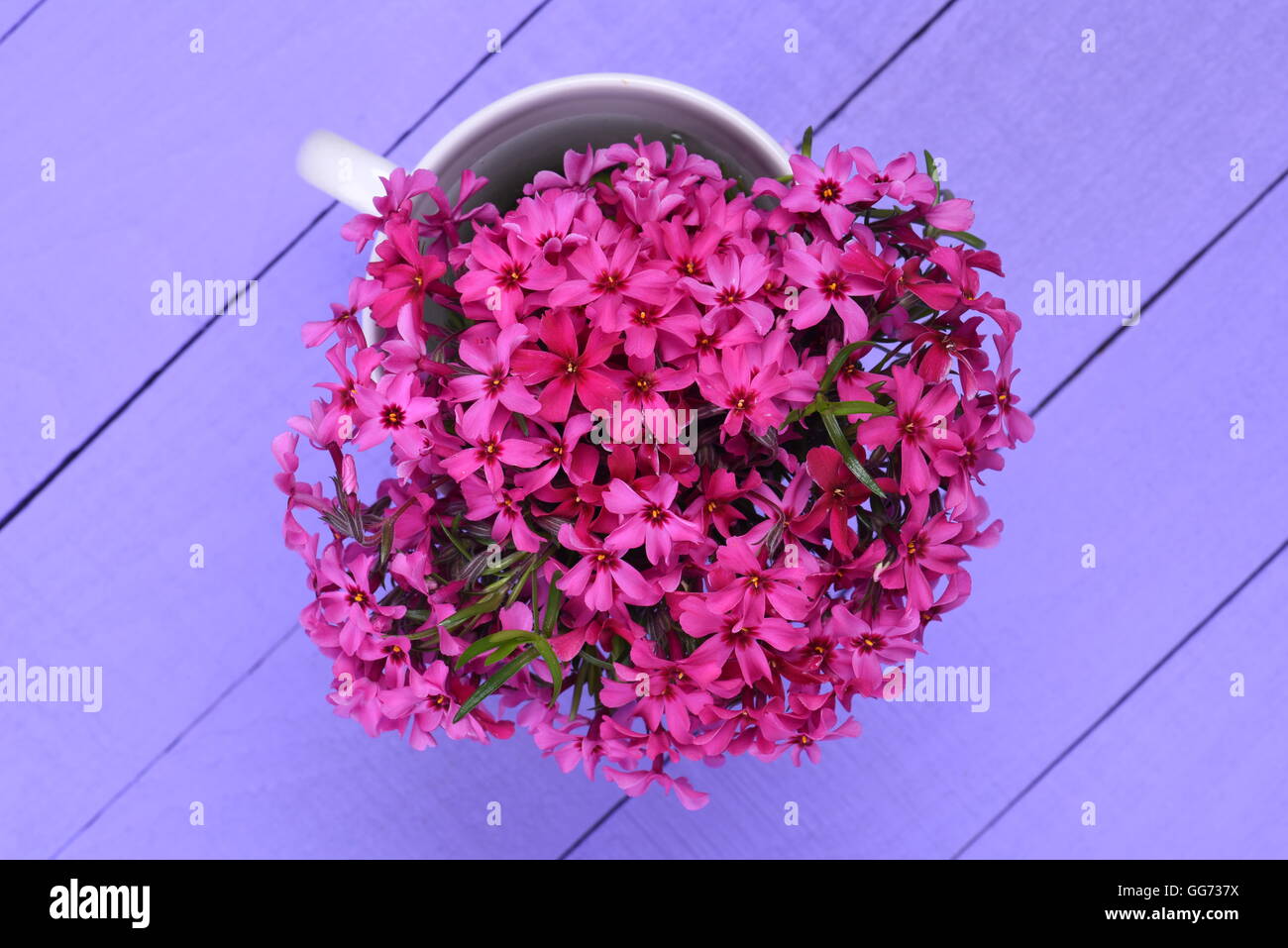 Bouquet de fleurs de printemps rose sur planche de bois Vue de dessus Banque D'Images