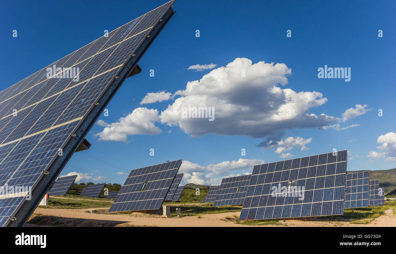 Panneaux solaires alignés sur une colline Banque D'Images