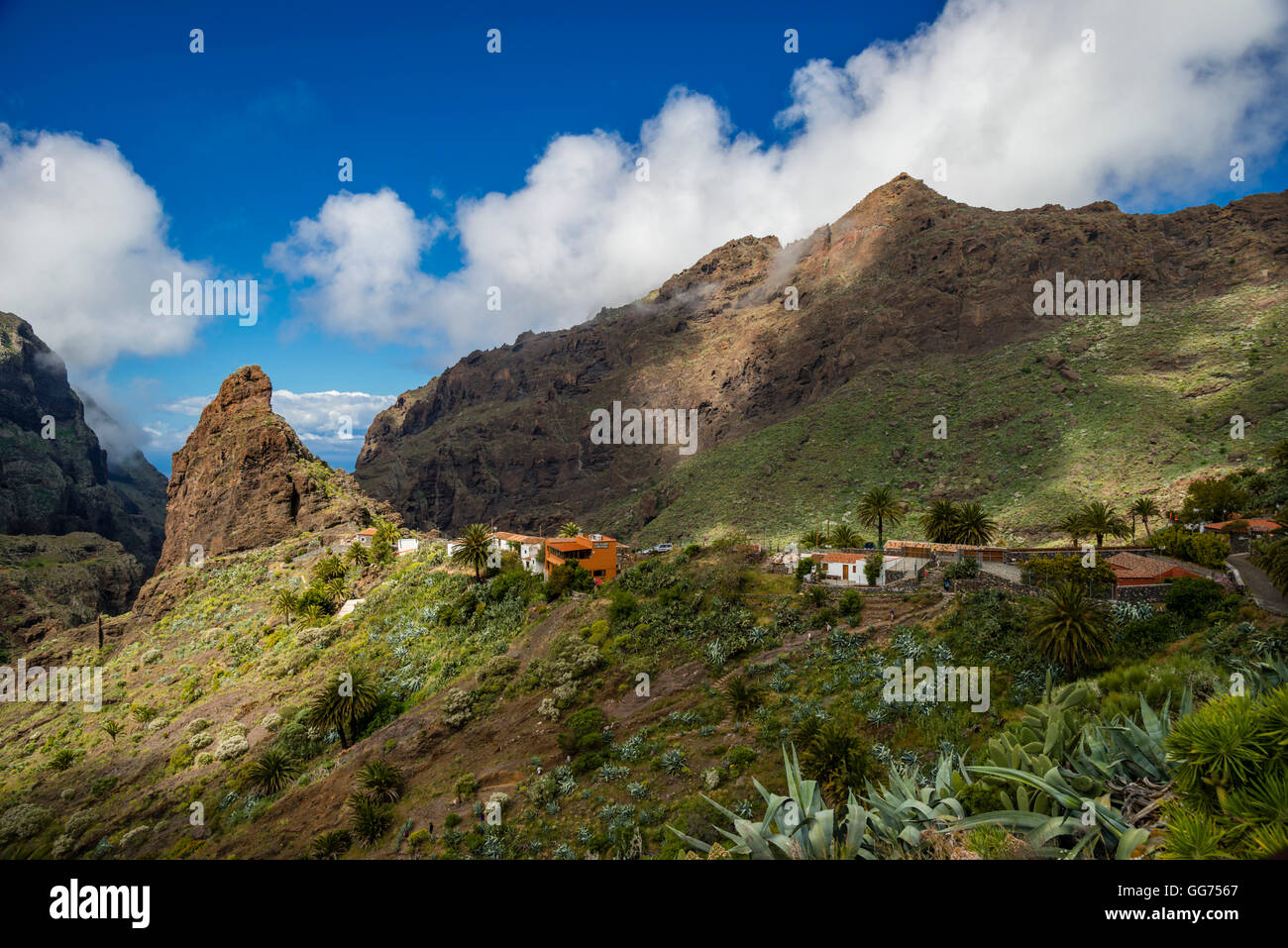 Barranco de Masca, Tenerife Banque D'Images
