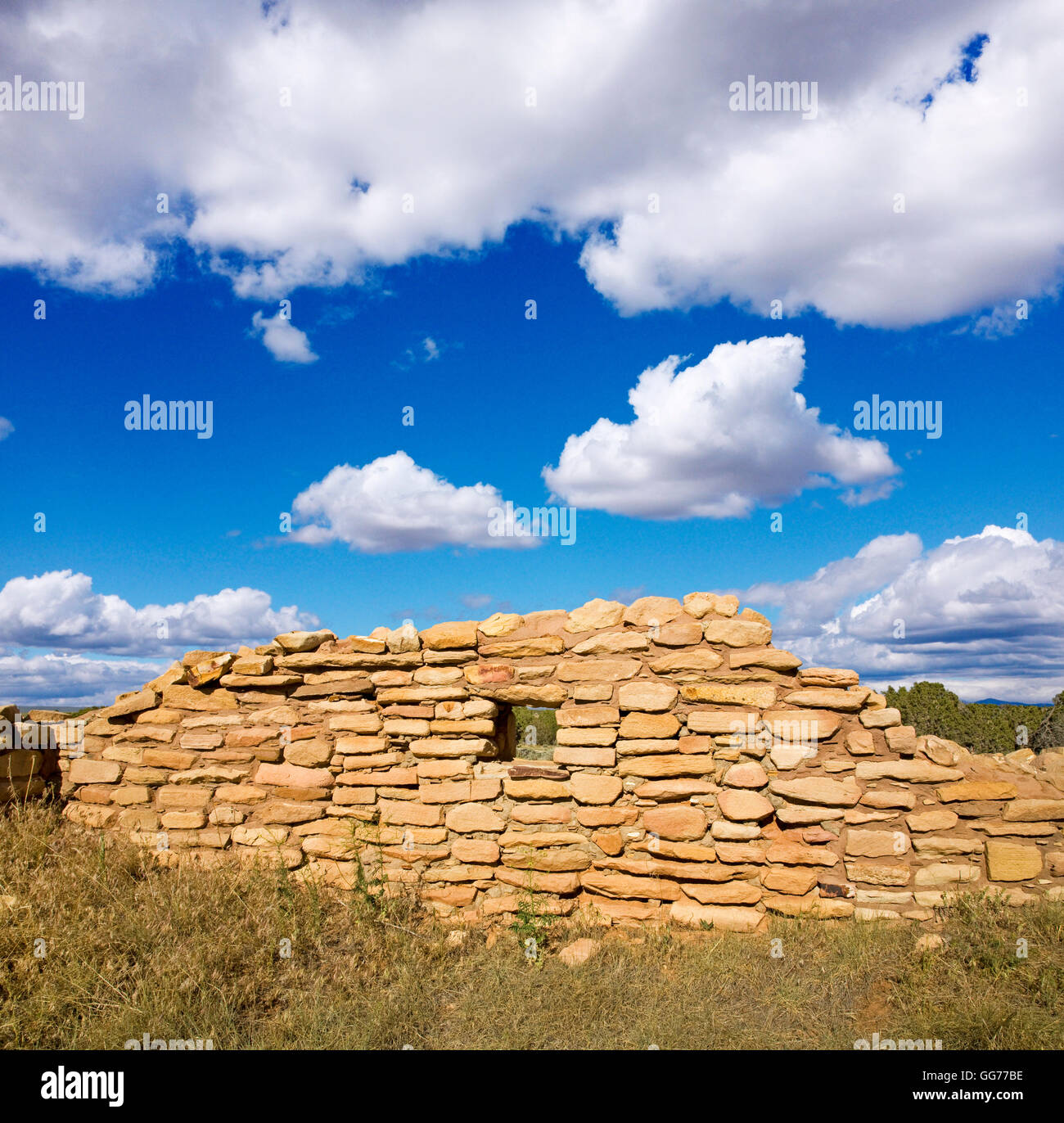 Le mur nord de Lowry Pueblo, un ancien (Anasazi) puebloan ancestrale pueblo dans les Canyons of the Ancients National Monument en s Banque D'Images
