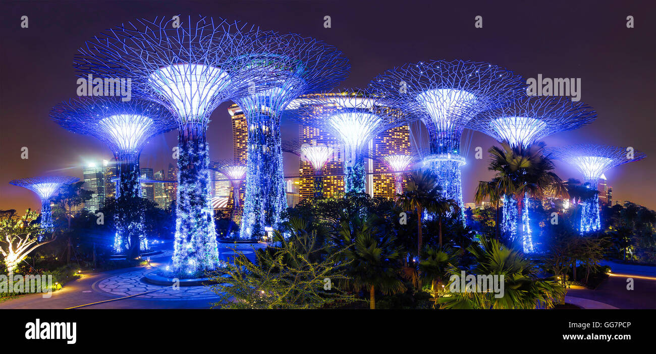 La ville de Singapour, Singapour - 23 juin 2014 : Supertree Grove dans le jardin par la baie de Singapour. Banque D'Images