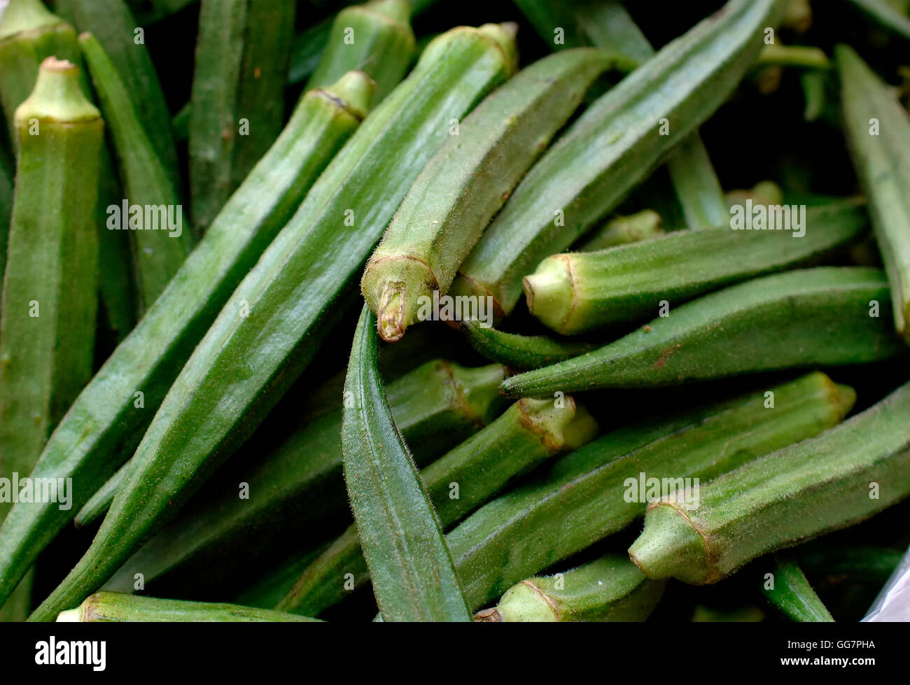 Ocra ou Ladies' Doigts de légumes frais Photo Stock - Alamy
