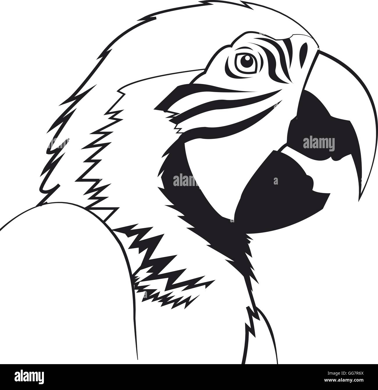 L Icone Dessin Perroquet Image Vectorielle Stock Alamy L Icone Dessin Perroquet Image Vectorielle Stock Alamy